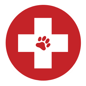 First-Aid-Icon