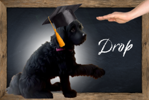 Online E-Learning Dog Training Drop