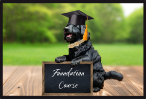 Online E-Learning Dog Training Foundation Course