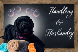 Online E-Learning Dog Training Handling and Husbandry Course