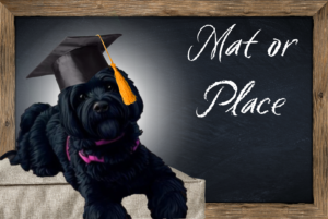 Online E-Learning Dog Training Mat or Place