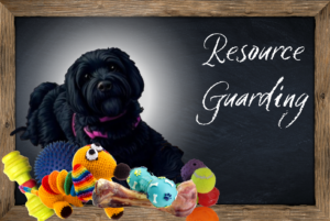 Online E-Learning Dog Training Resource Guarding