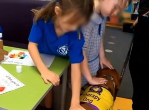 Therapy Dog